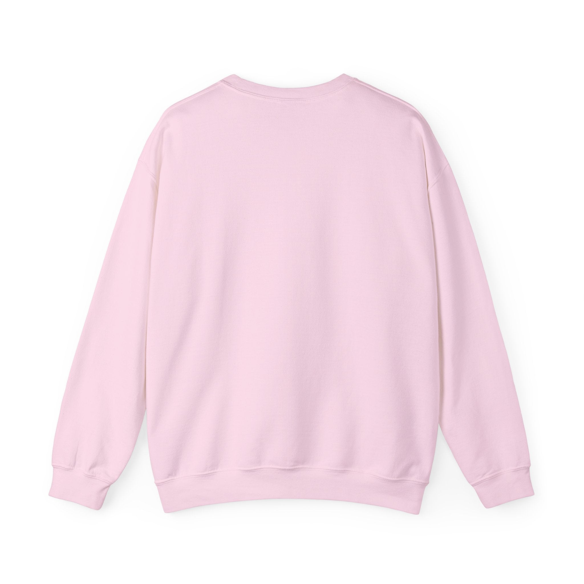 Pilates Funny Women's Sweatshirt - Sorry Can’t Pilates Bye Soft Crewneck Pullover - Cozy Workout & Loungewear Gift
